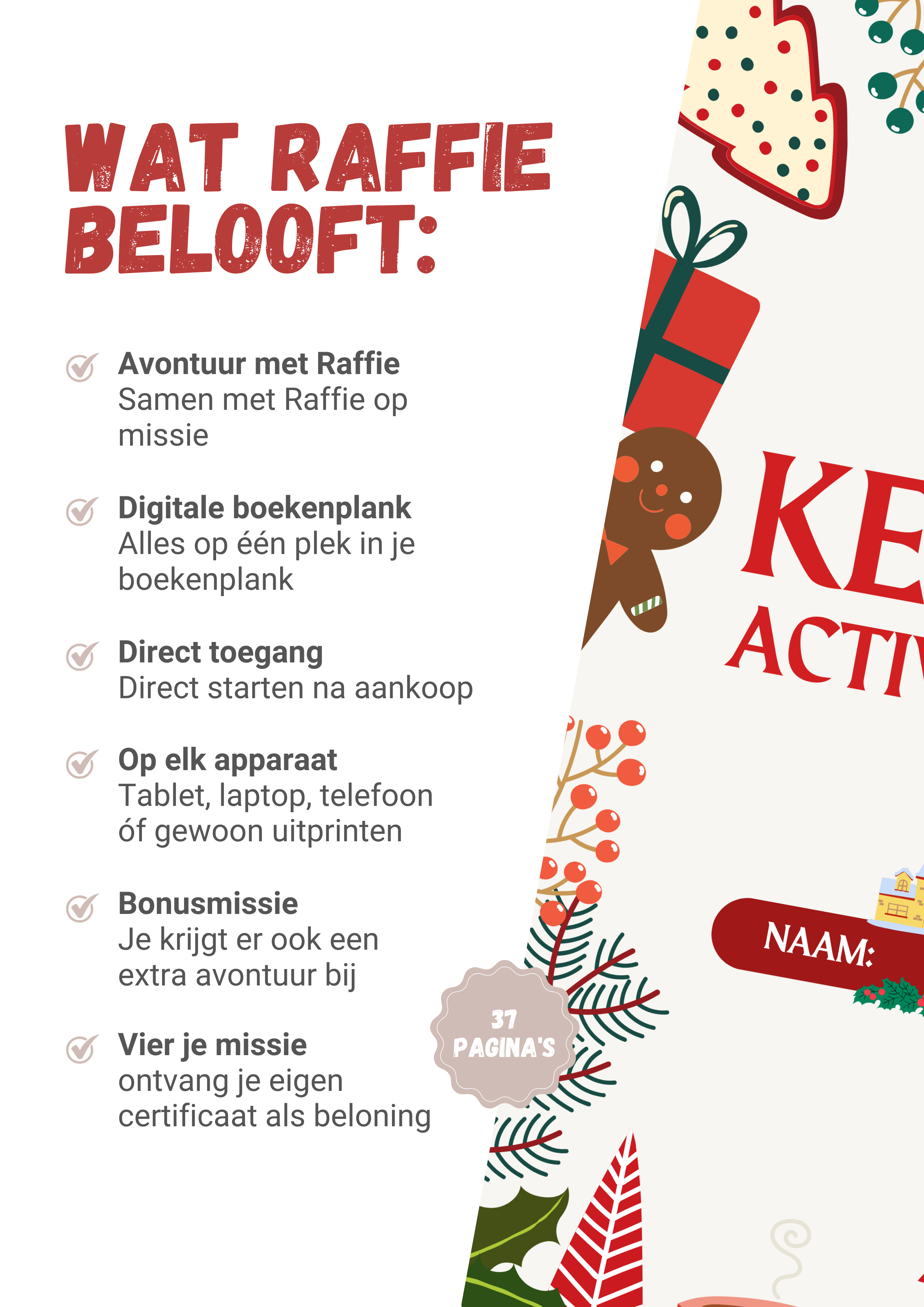 Kerstmis Activiteitenboek